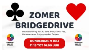 Zomer bridgedrive